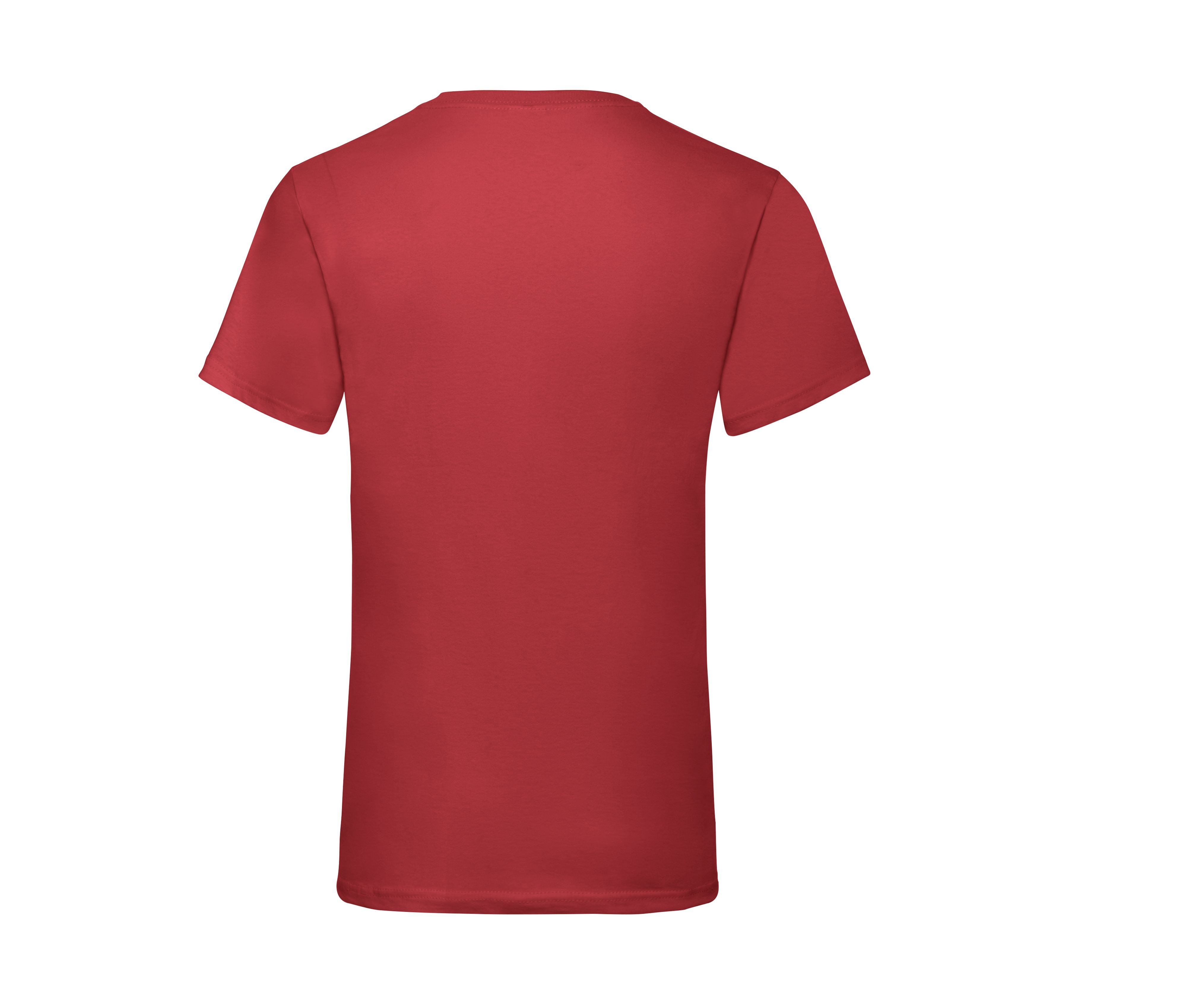 VALUEWEIGHT V-NECK T